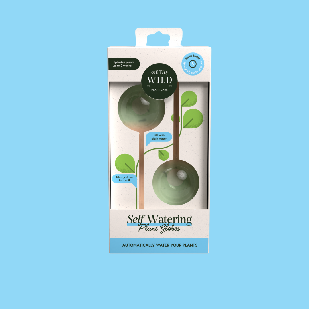 Self-Watering Plant Globe
