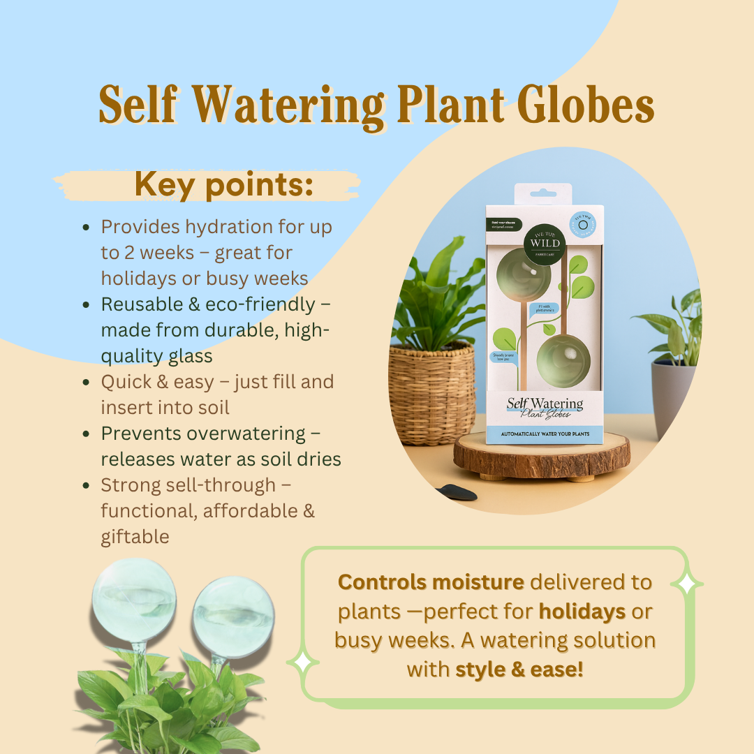 Self-Watering Plant Globe