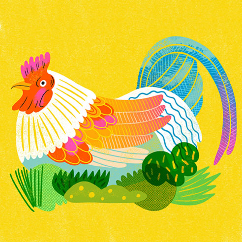 Chicken Art Print