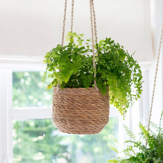 Hanging Plant Pot