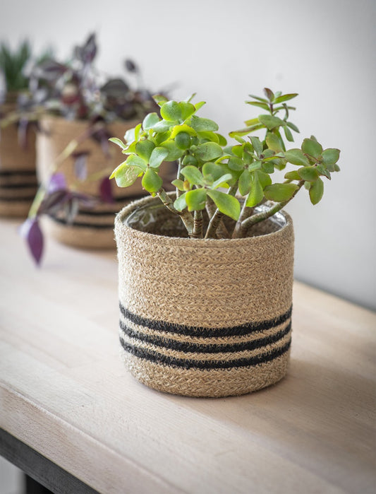 Striped Jute Pot