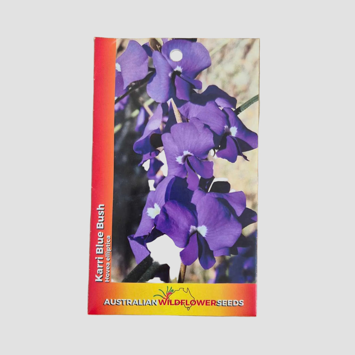 A seed packet for 'Karri Blue Bush' by Australian Wildflower Seeds, featuring a vibrant purple flower photo on the front, set against a neutral brown background.