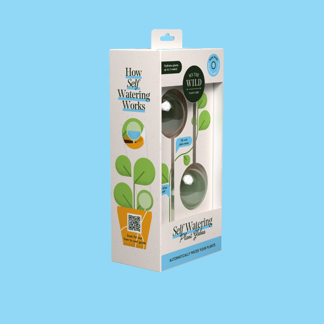 Self-Watering Plant Globe