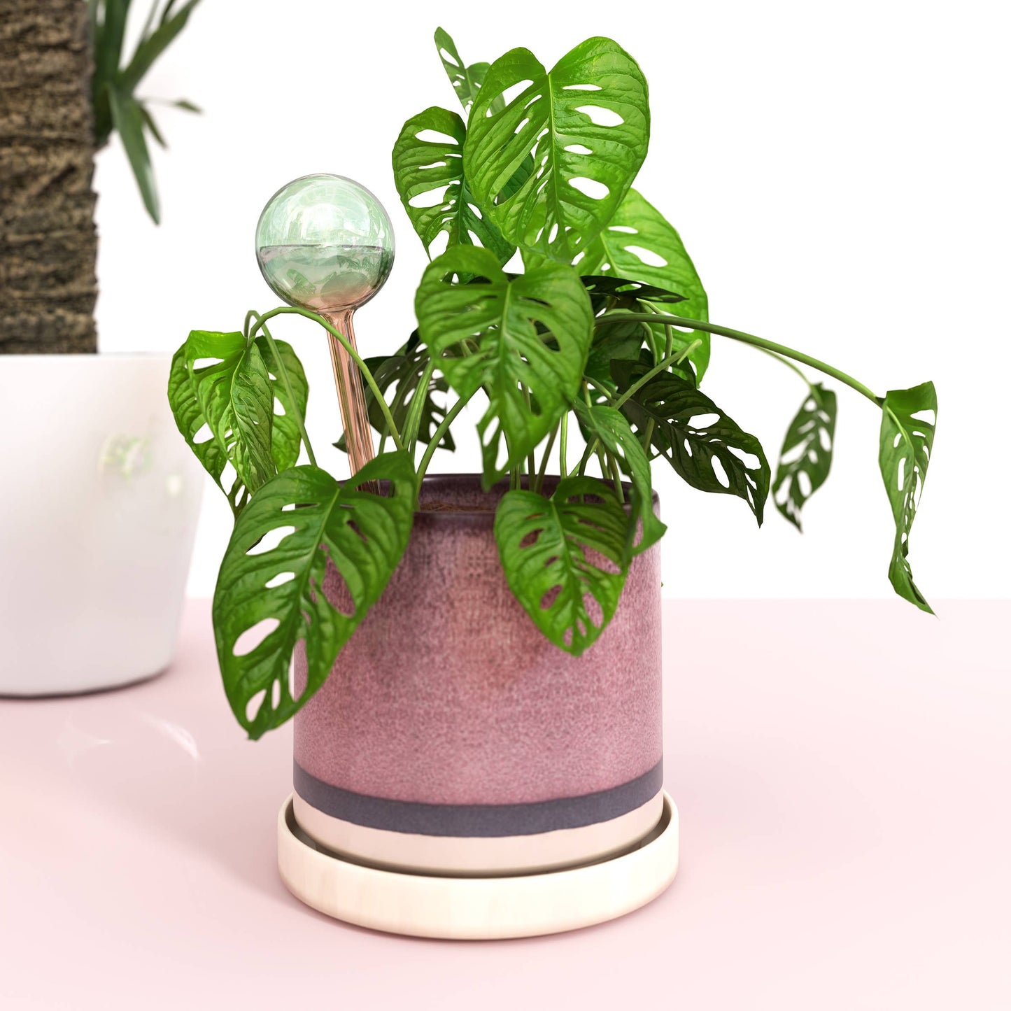 Self-Watering Plant Globe