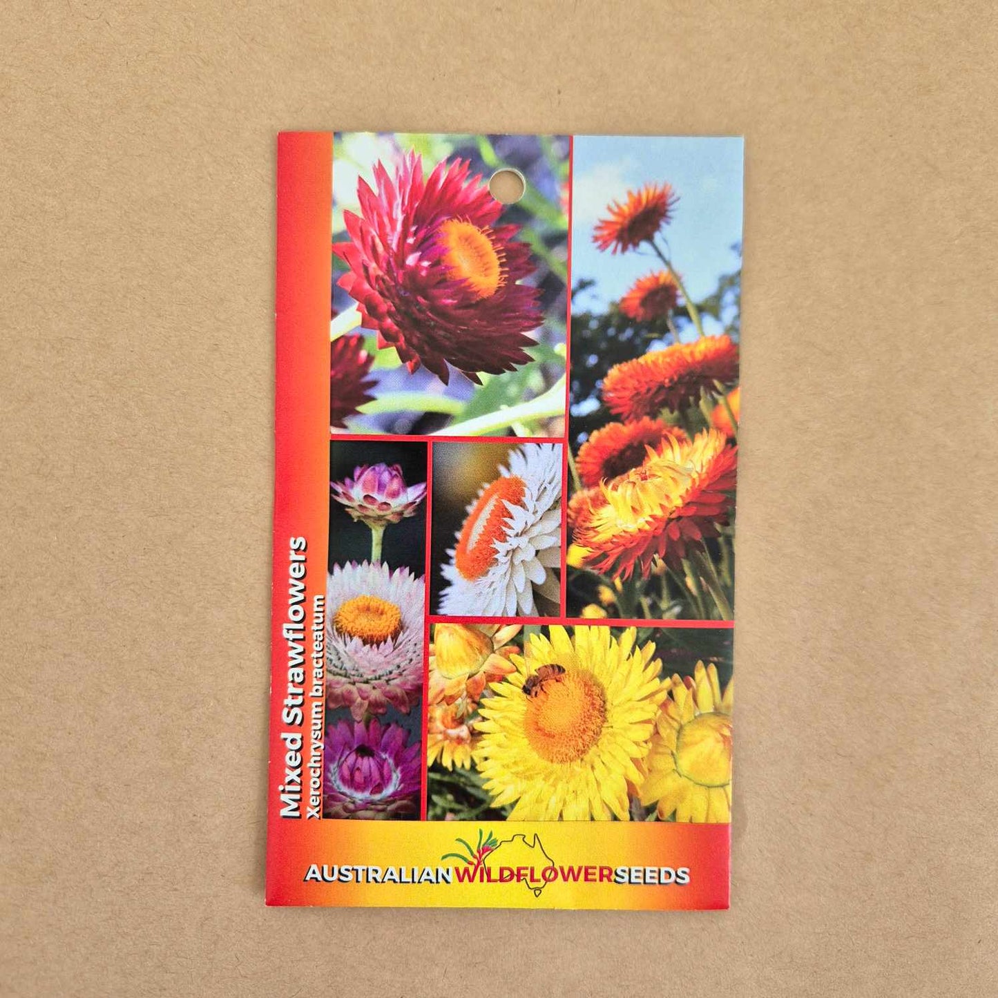 Mixed Strawflowers Seeds