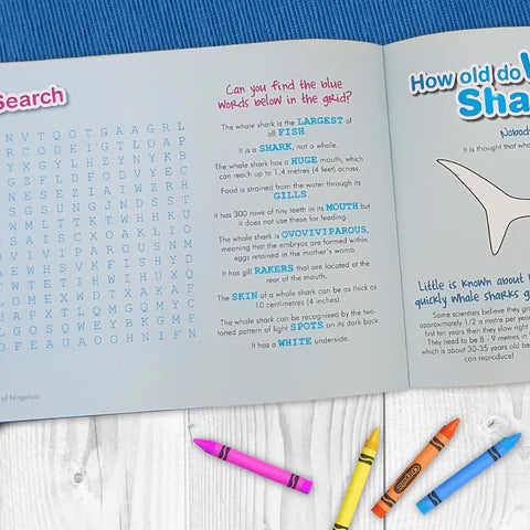 The Whale Sharks of Ningaloo