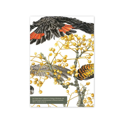 Red Tail Black Cockatoos A5 Notebook