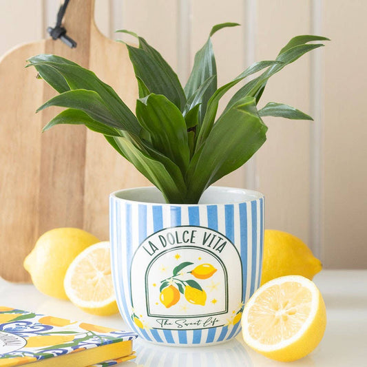 Blue Striped La Dolce Vita Ceramic Plant Pot