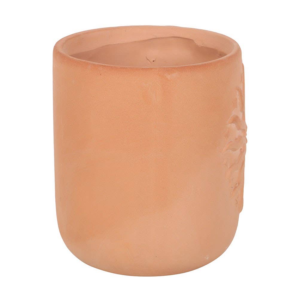 Summer Sun Terracotta Plant Pot