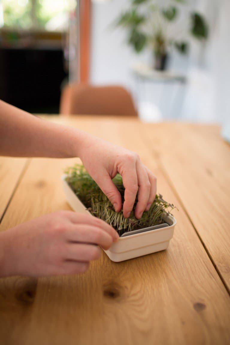 Micro Snips