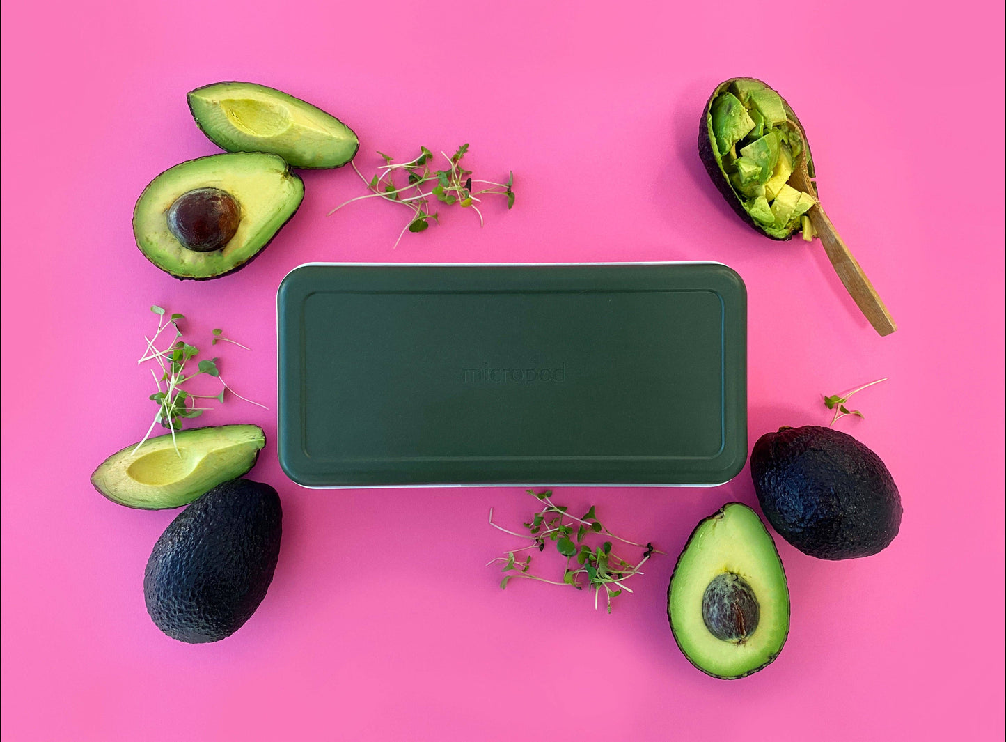 Microgreens Starter Kit