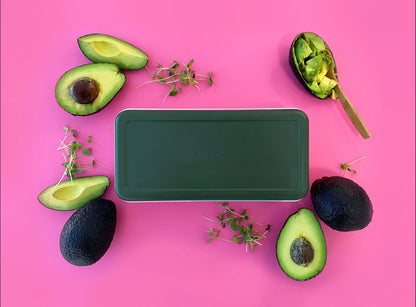 Microgreens Starter Kit