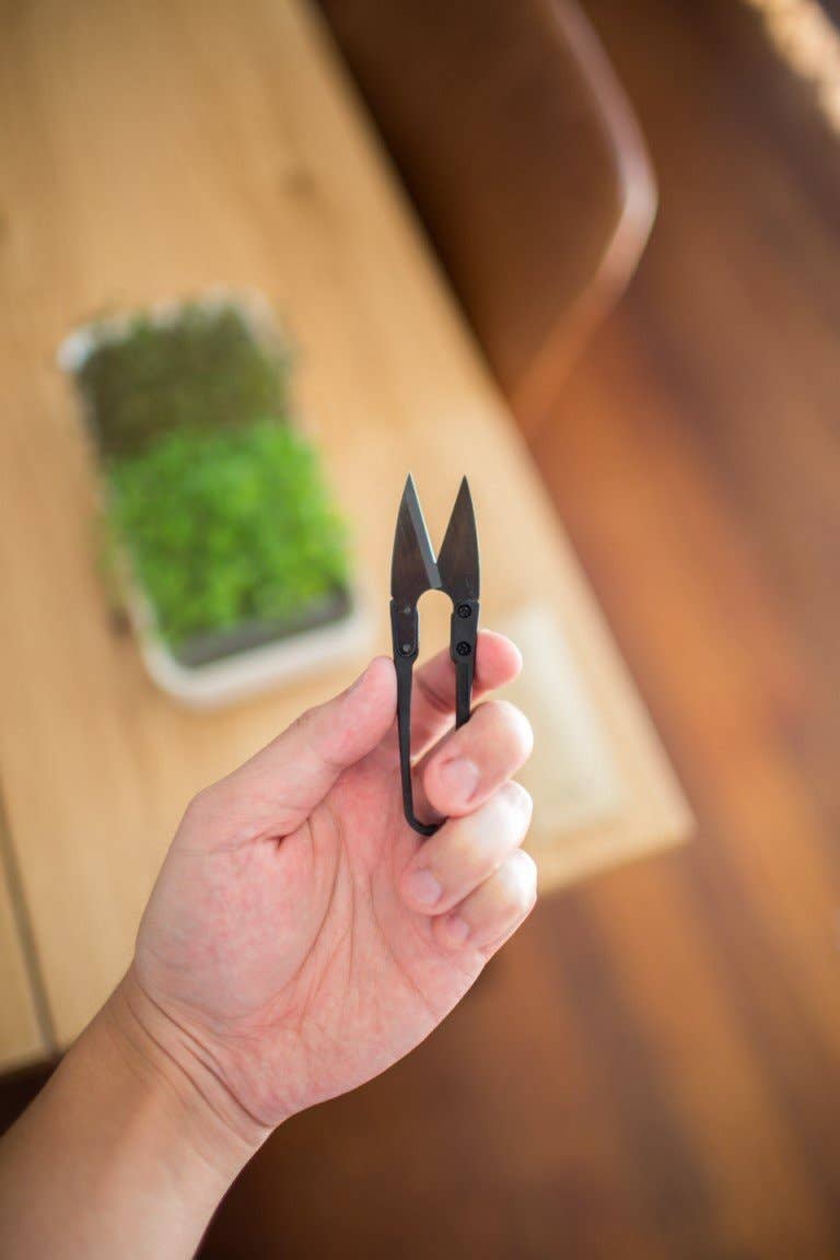 Micro Snips