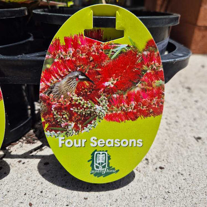 Round label with a bird on red flowers and 'Four Seasons' branding, placed on a concrete surface.