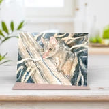 Chuditch Greeting Card