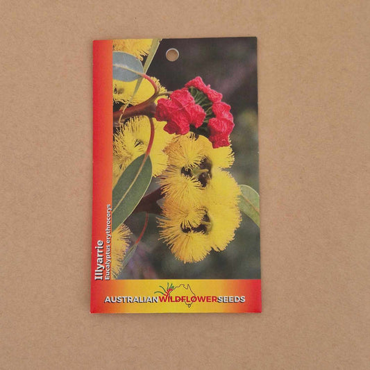 A seed packet for 'Ilvartie' Australian Wildflower Seeds, featuring a vibrant photograph of yellow billy oop flowers and red blossoms on a brown kraft paper background.