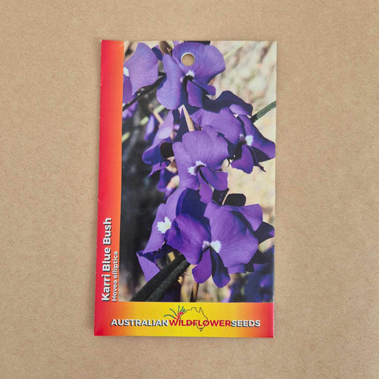 A seed packet for 'Karri Blue Bush' by Australian Wildflower Seeds, featuring a vibrant purple flower photo on the front, set against a neutral brown background.
