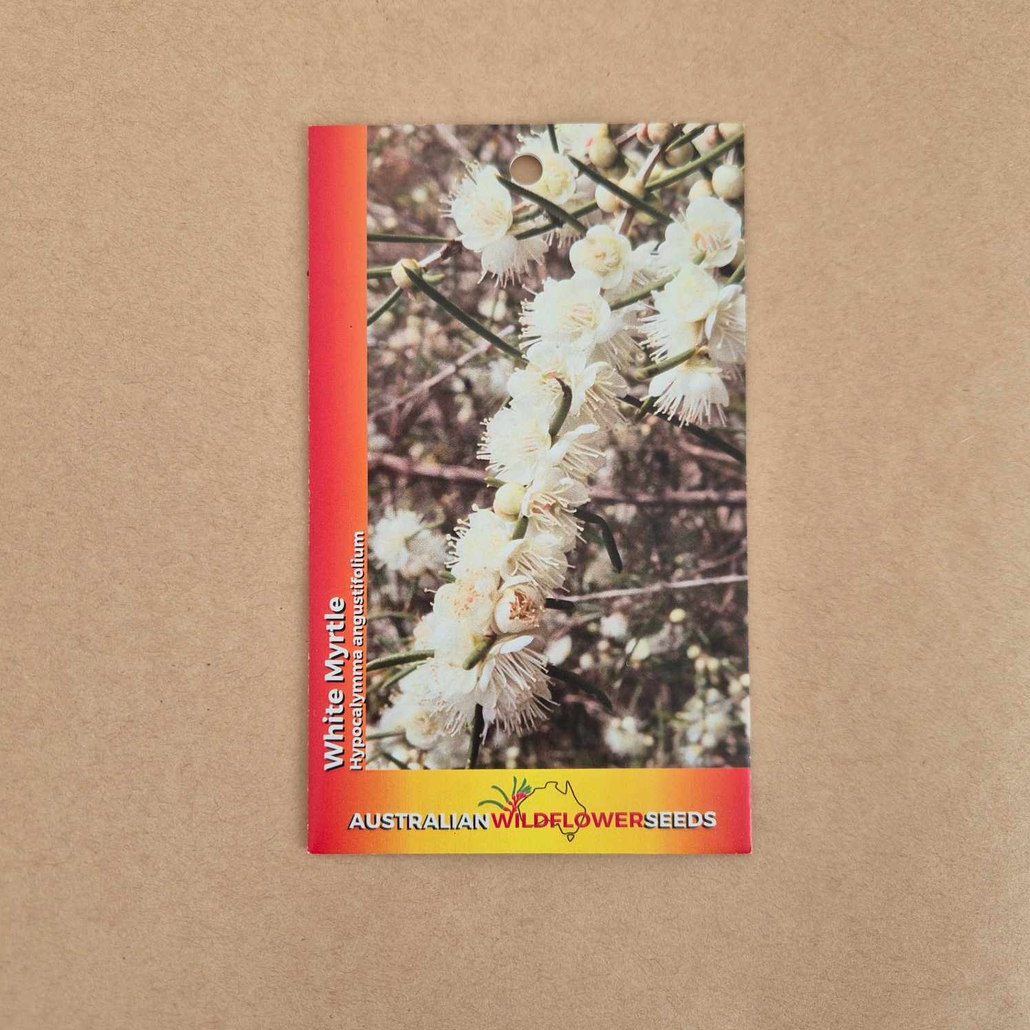 A seed packet for Australian Wildflower Seeds featuring a photo of white myrtle flowers, set against a plain brown background.