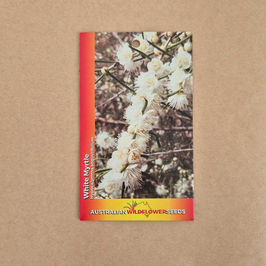 A seed packet for Australian Wildflower Seeds featuring a photo of white myrtle flowers, set against a plain brown background.