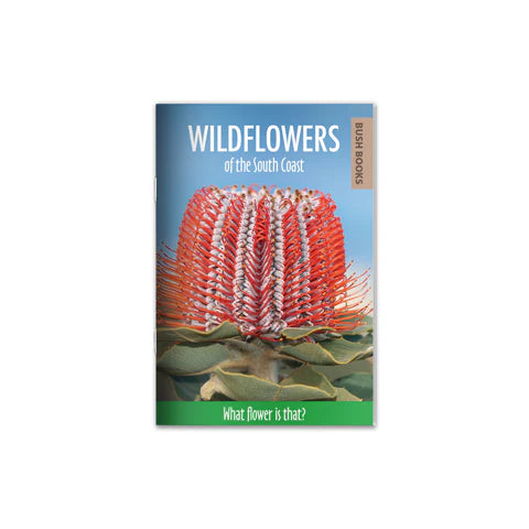 Wildflowers of the South Coast