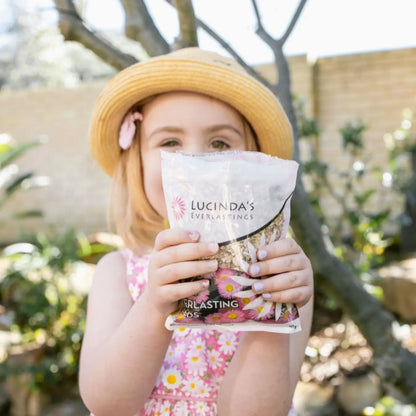 Everlasting Seeds 10g