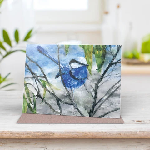 Splendid fairy-wren - Greeting card