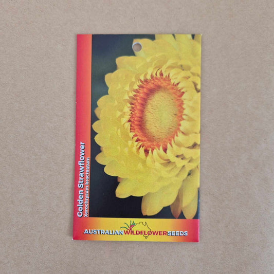 A seed packet for Golden Strawflower (Mekongium belladonna) by Australian Wildflower Seeds, featuring a large yellow flower with a red-orange center on a dark background, set against a neutral gray surface.