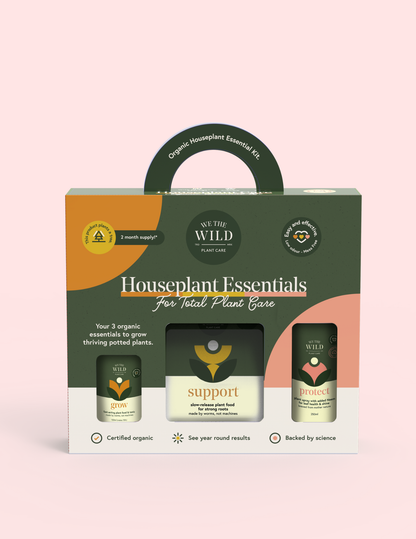 indoor plant care essentials House Plant Care Essentials Kit