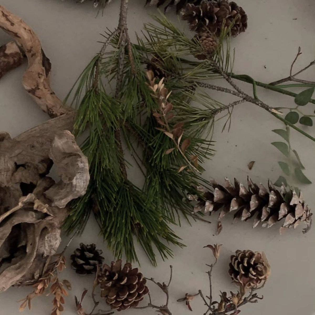No.6   Pine+Sandalwood Candle
