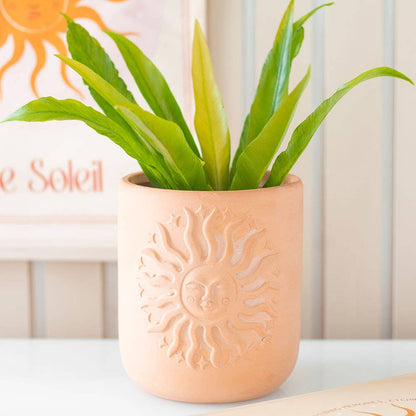Summer Sun Terracotta Plant Pot