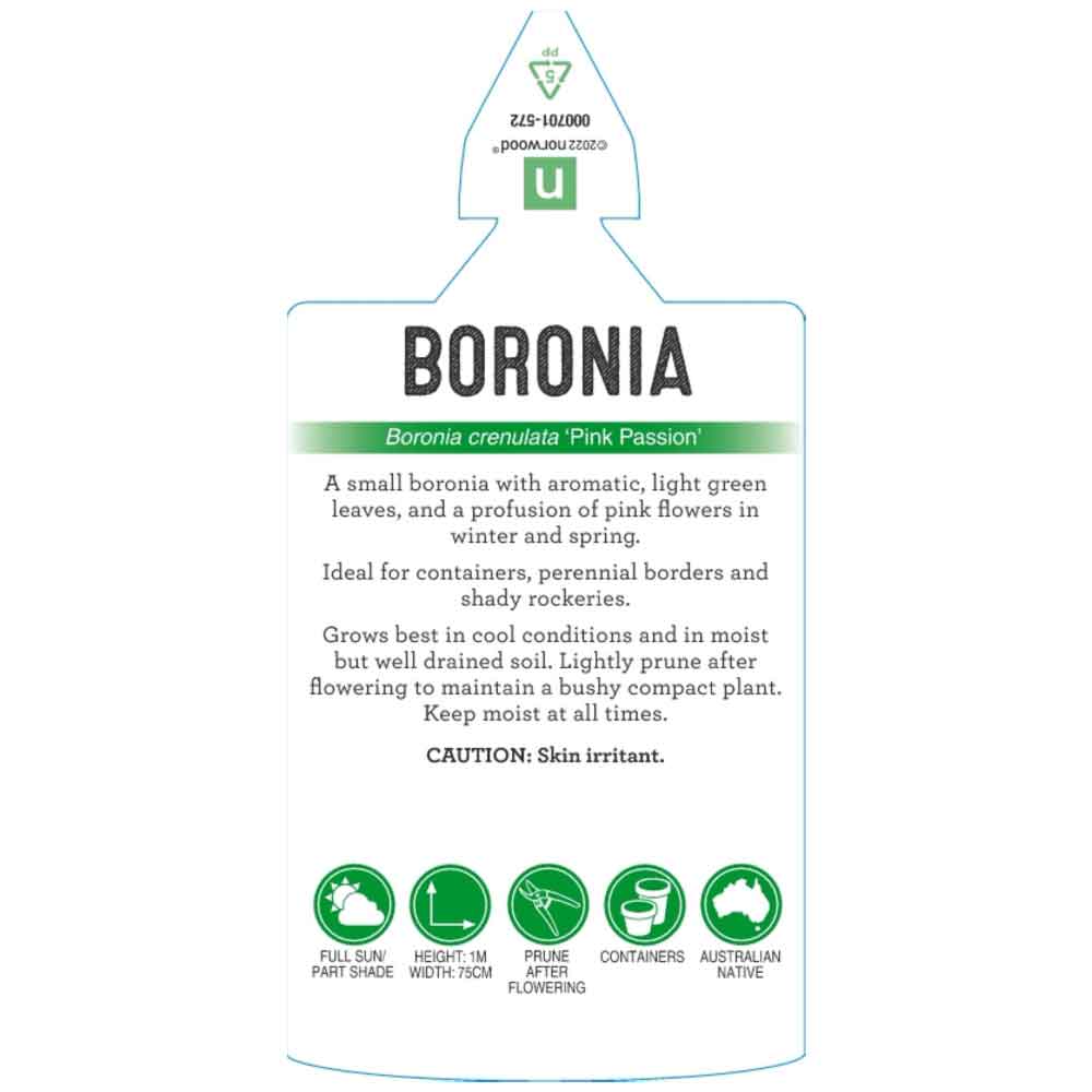 label for boronia pink passion