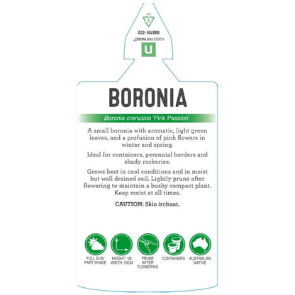 label for boronia pink passion