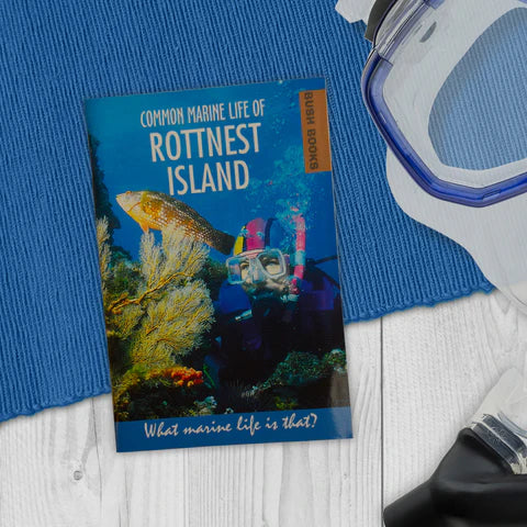 Common Marine Life of Rottnest Island – Snippy's Yard