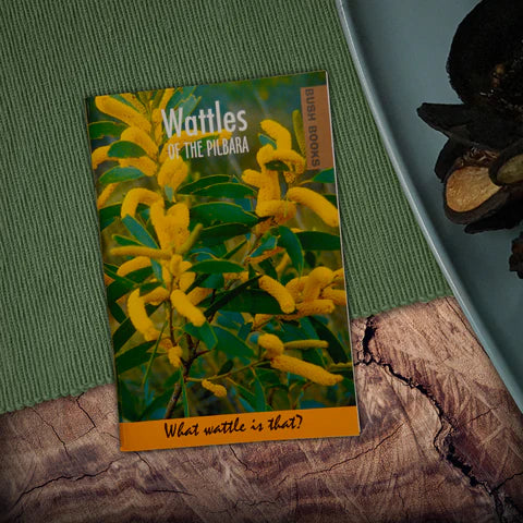 Wattles of the Pilbara