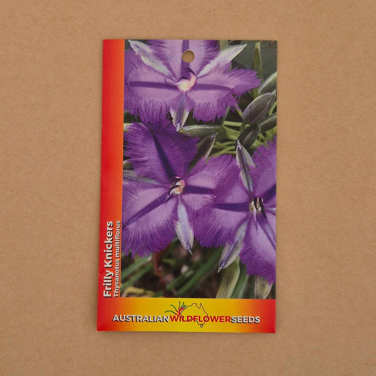 A seed packet for 'Erilly Knicksters' Australian Wildflower Seeds, featuring a vibrant purple frilly flower on the front, set against a plain brown background.