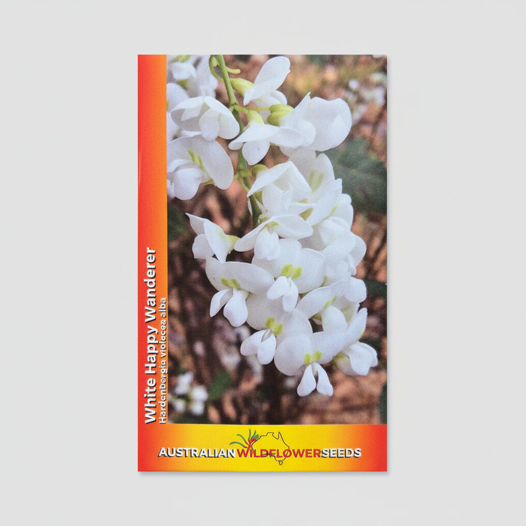 A seed packet for 'White Happy Wanderer' native flowers from Australian Wildflower Seeds, featuring a photo of white flowers on a brown background, placed on a textured beige surface.