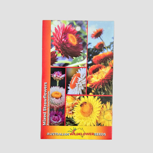 A seed packet of Australian Wildflowerseeds 'Mixed Strawflowers' (Eriocaphus cylindraceus) featuring a vibrant collage of different strawflower colors and patterns, set against a plain brown kraft paper background.