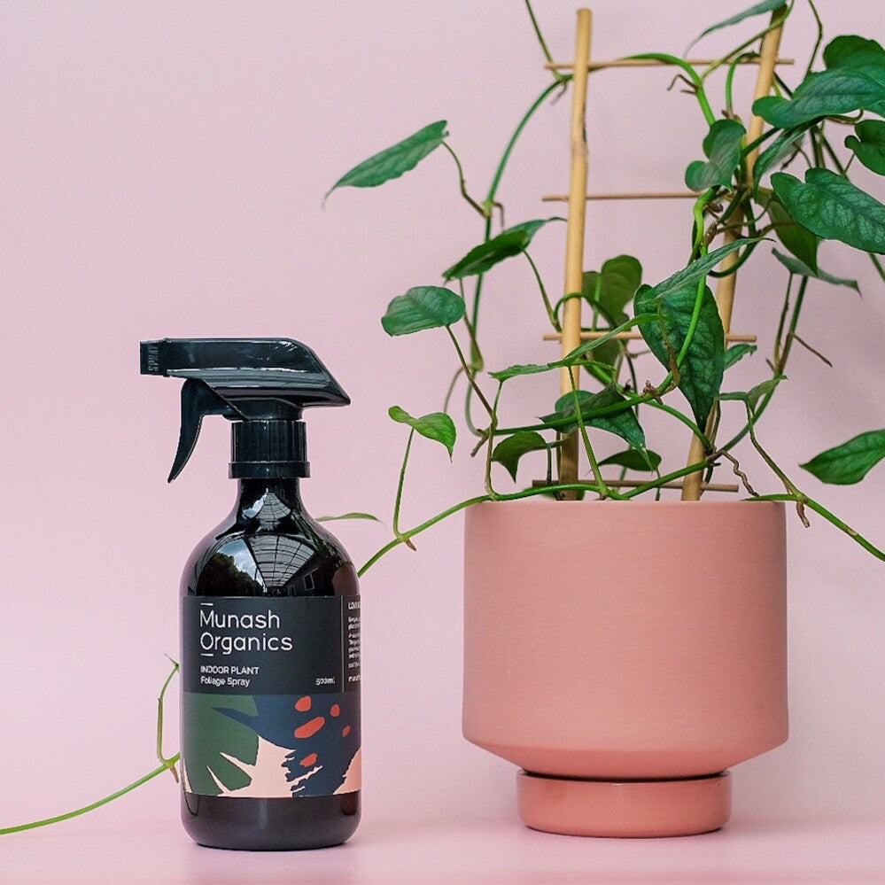 Munash Organics plant care spray bottle next to a potted plant on a pink background