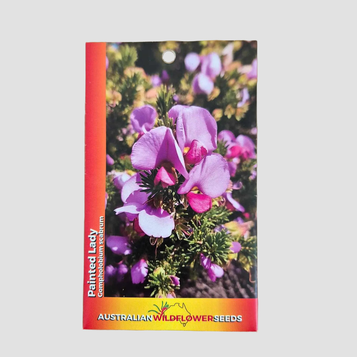 A seed packet for 'Painted Lady' composite bellflower seeds by Australian Wildflower Seeds, featuring a vibrant purple and pink flower photo on a brown kraft paper background.