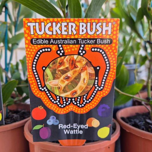 Packaged food product with 'Tucker Bush' branding in a garden setting