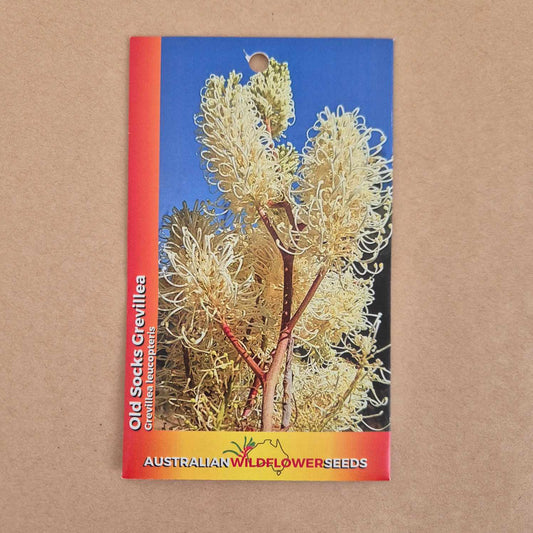 Grevillea leucopteris Seeds