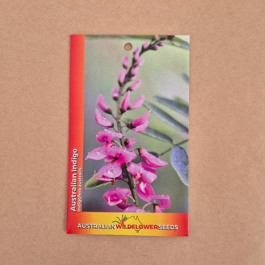 Australian Indigo Seeds - Indigofera australis