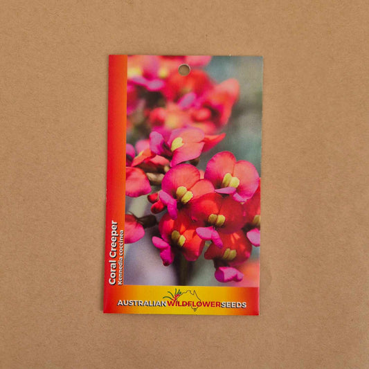 Kennedia coccinea Seeds