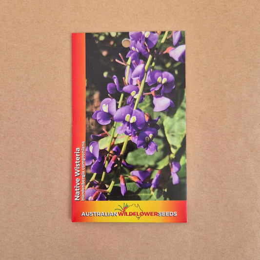 Hardenbergia comptoniana Seeds
