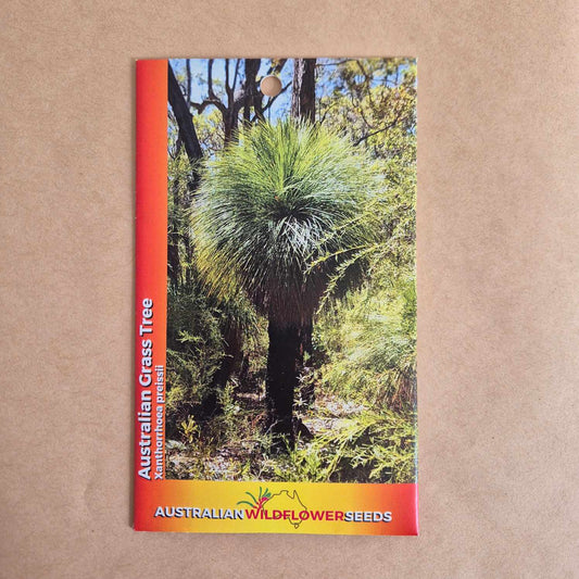 Xanthorrhoea preissii Seeds