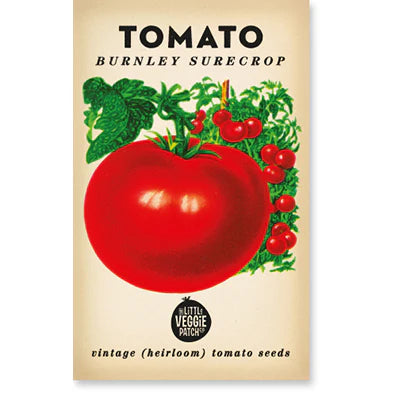 Tomato seed packet with a large red tomato illustration on a beige background